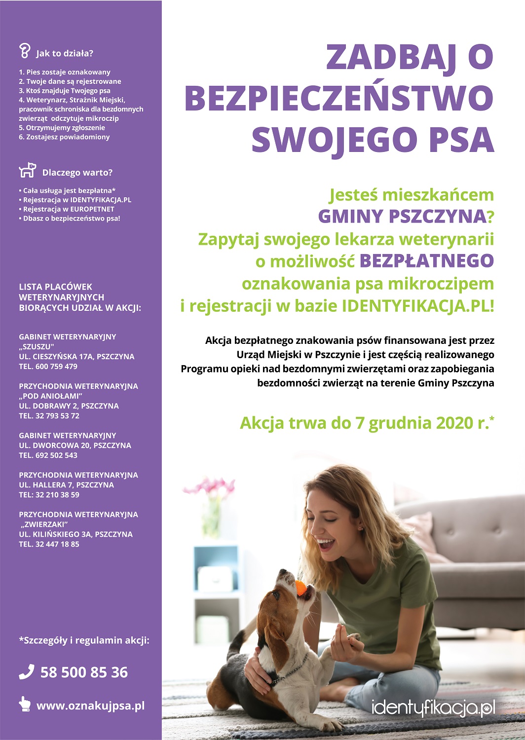 Zadbaj o bezpieczeństwo swojego psa